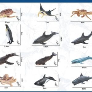 Набір морських тварин + картки